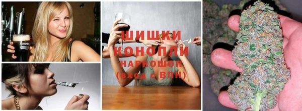 гидропоника Алексеевка